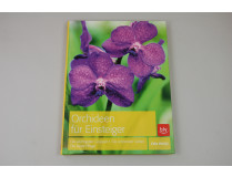 Orchideen für Einsteiger