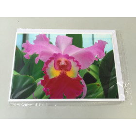 Grußkarte "Cattleya-Blüte" (Klappkarte inkl. Umschlag)