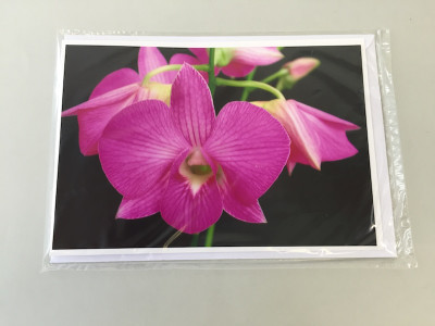 Grußkarte "Dendrobium-Blüte" (Klappkarte inkl. Umschlag)