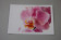 Orchideen Postkarten-Set