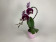 Phalaenopsis Swan 'Red' (1 Rispe, inkl. Übertopf)