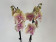 Phalaenopsis Charming Cream 'Kizz' (2 Rispen)
