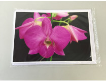 Grußkarte "Dendrobium-Blüte" (Klappkarte inkl. Umschlag)