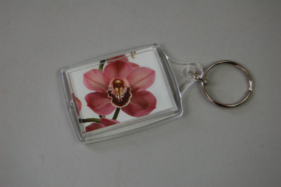 Orchideen-Schlüsselanhänger " Cymbidium"