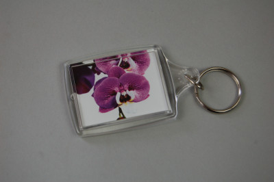 Orchideen-Schlüsselanhänger "Phalaenopsis"