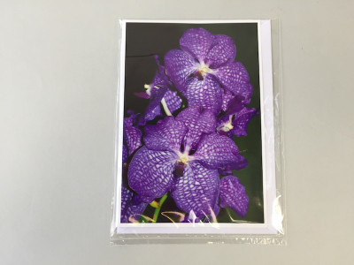 Grußkarte "Vanda-Blüte" (Klappkarte inkl. Umschlag)