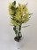 Dendrobium Vanilla Pommery