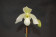 Paphiopedilum Deperle 2