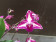 Dendrobium bigibbum compactum 'Splash'