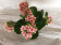 Kalanchoe blossfeldiana