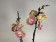 Phalaenopsis Grape Fruit (2 Rispen)