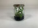 Cattleya bowringiana (im sterilen Glas)