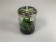Cattleya forbesii (im sterilen Glas)