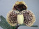 Paphiopedilum godefroyae 'leucochilum'