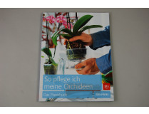 So pflege ich meine Orchideen