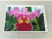 Grußkarte "Cattleya-Blüte" (Klappkarte inkl. Umschlag)