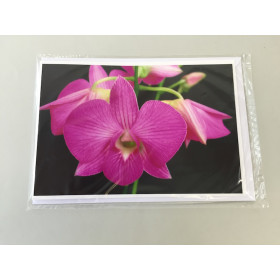 Grußkarte "Dendrobium-Blüte" (Klappkarte inkl. Umschlag)