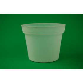 Kunststoff-Kulturtopf, 13 cm (transparent)