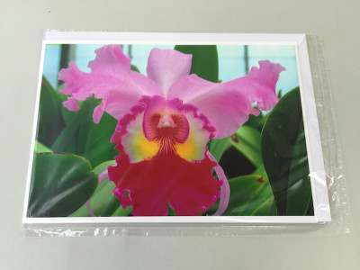 Grußkarte "Cattleya-Blüte" (Klappkarte inkl. Umschlag)
