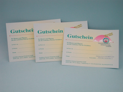 Gutschein Euro 100,00 (Orchideen-Wichmann.de)