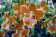 Oncidium forbesii 2