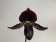 Paphiopedilum Vinicolor 'Schwarze Madonna' x callosum Vinicolor (Jgpfl.) - Sparset