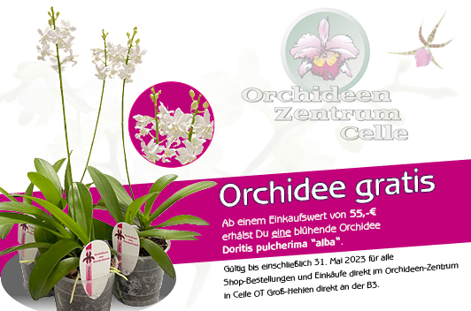 Gratis-Orchidee2023