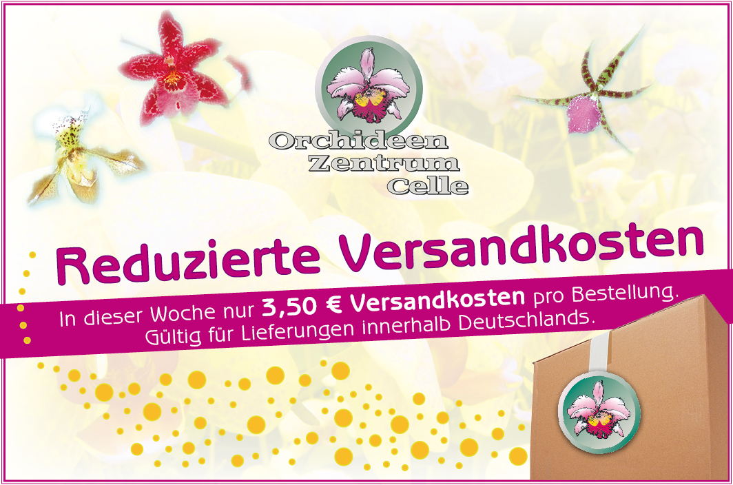 Reduzierte Versandkosten. Nur € 3,50 pro Bestellung