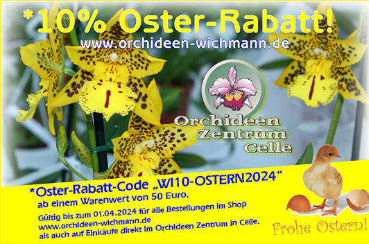 Orchideen Ostern Geschenkideen
