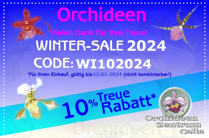 Orchideen Zentrum Wichmann - Online Shop ❀ Beratung, Verkauf und Versand  europaweit