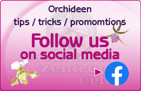 Orchideen Wichmann EN Facebook