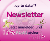 Newsletter 15% Rabatt Orchideen