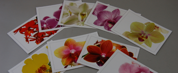 Pfingsten Kartenset Orchideen