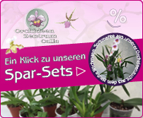 Newsletter 5% Rabatt Orchideen